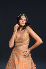 Orange Raw Silk Lehenga